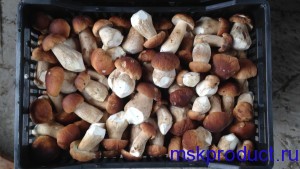 свежие белые грибы с доставкой