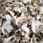 сушеные белые грибы